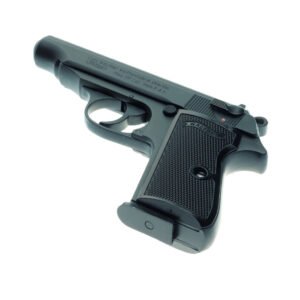 Aenean tincidunt sapien